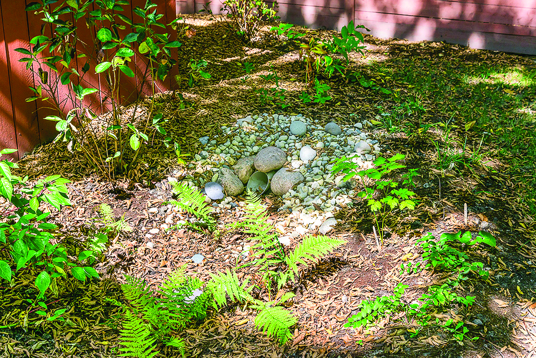 Rocks covering a downspout